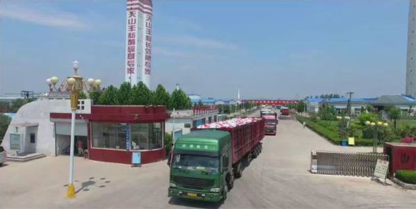 厂容厂貌